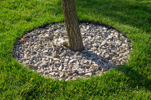Mulch or Stone? Choosing Ground Cover for a Florida Yard