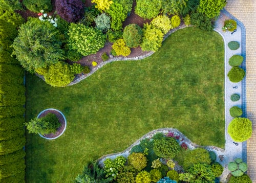 Landscape Design / Diseño de Jardines