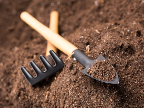 Top Soil / Tierra Vegetal