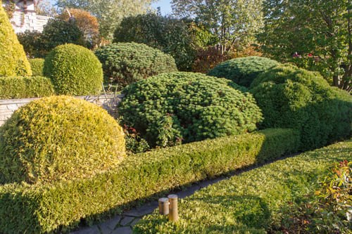 Insights from Terrero Landscaping