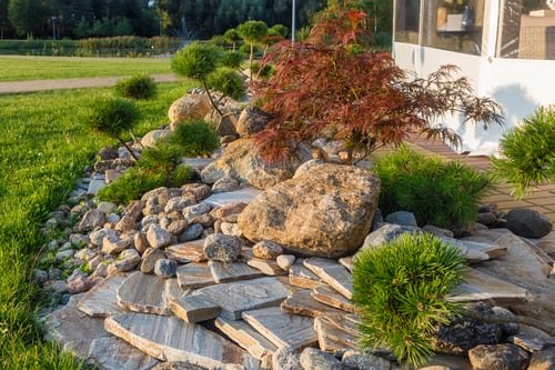 Terrero Landscaping services